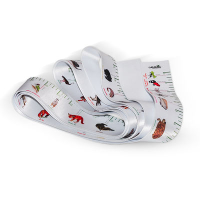 Wintape Extra Long Colorful Image Printing Surface Fabric Texture Nylon Fabric Measuring Tape Band